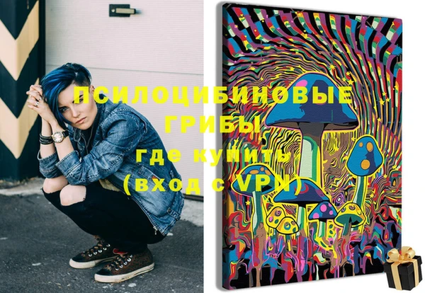 индика Семёнов