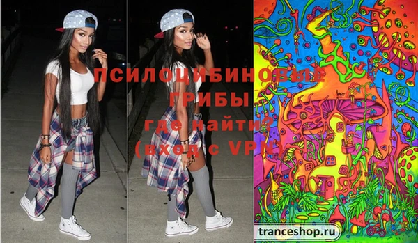 индика Семёнов